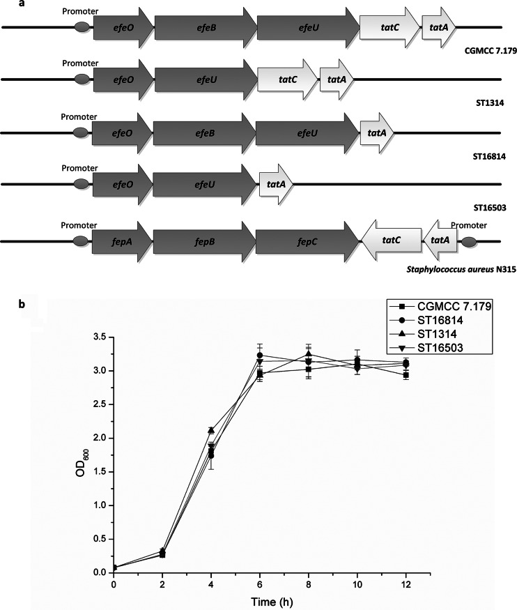 FIG 2