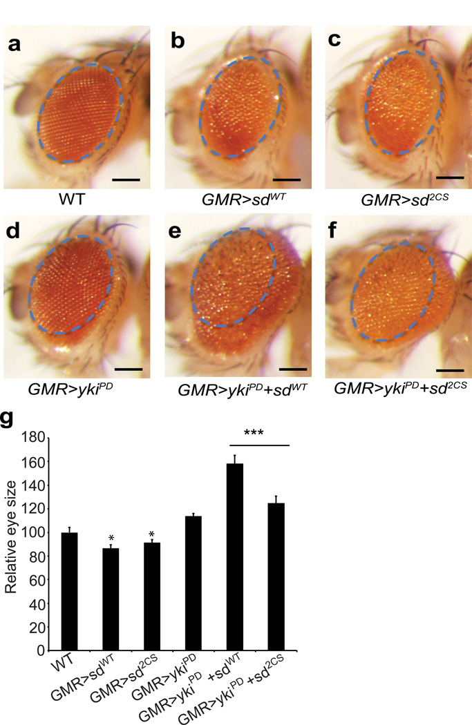 Figure 6