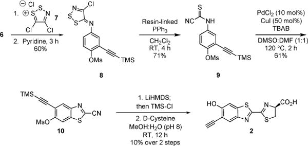 Scheme 2