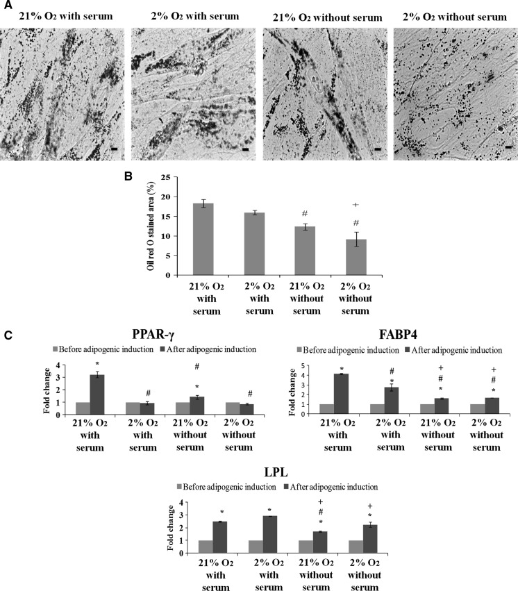 Fig. 4