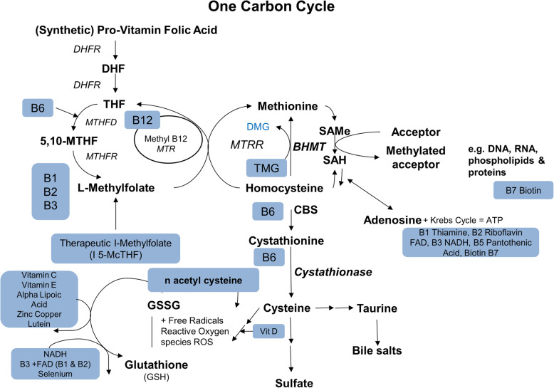 Fig. 1