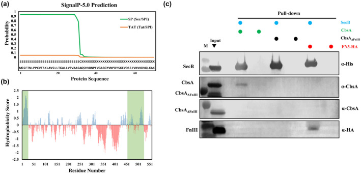 FIGURE 4