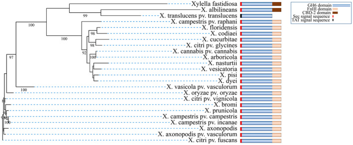 FIGURE 6