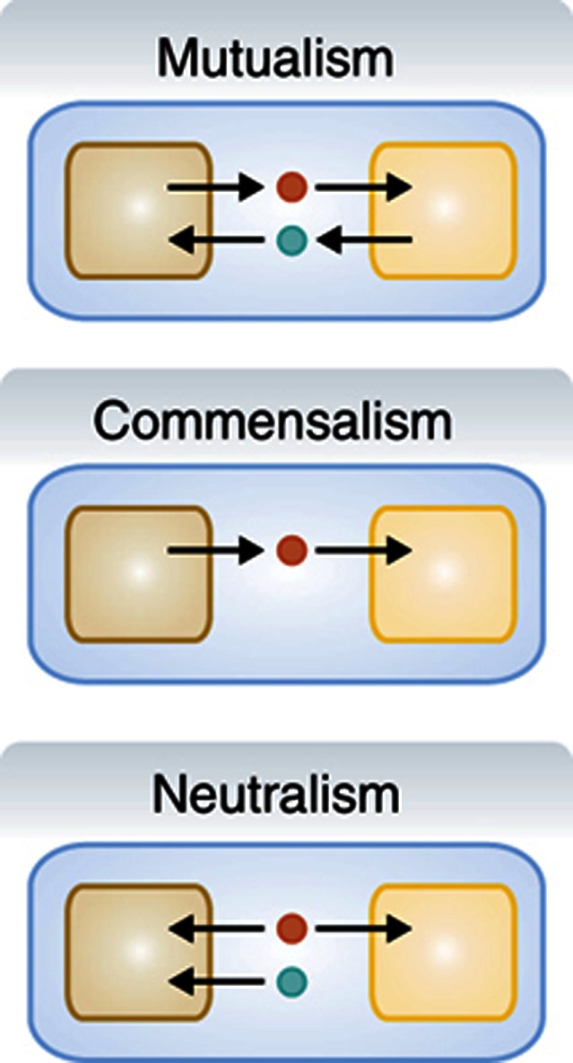 Microbial interactions
