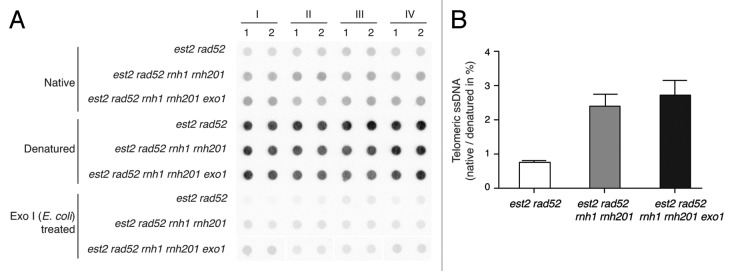 graphic file with name rna-11-95-g3.jpg