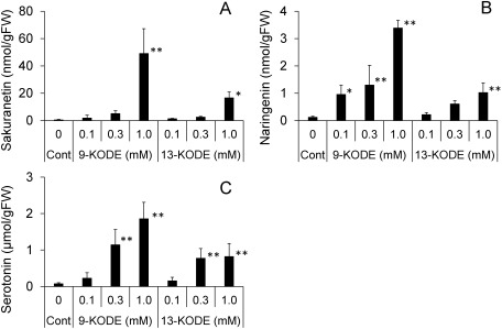 Fig. 7. Accumulation of sakuranetin (A), naringenin (B), and serotonin (C) in leaves treated with 9-oxooctadeca-10,12-dienoic acid (9-KODE) and 13-oxooctadeca-9,11-dienoic acid (13-KODE). Droplets of KODE solutions at 0.1, 0.3, and 1.0 mM in 0.25% Tween20 were placed on the third leaves of 14-day-old seedlings. Droplets of a solution without KODE were placed on leaves as a control. After a 72 hr incubation, leaves were extracted with 80% methanol. Data are presented as the means of three replicates. Error bars indicate standard deviations. Asterisks indicate statistically significant differences from the control (*p<0.05, ** p<0.01, Dunnett’s test).