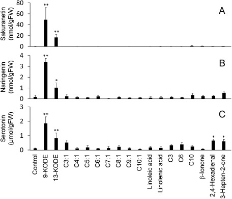 Fig. 8. Accumulation of sakuranetin (A), naringenin (B), and serotonin (C) in leaves treated with various compounds at 1 mM. Droplets of solutions of various compounds in 0.25% Tween20 solution were placed on the third leaves of 14-day-old seedlings. Droplets of 0.25% Tween20 solution were placed on leaves as a control. Abbreviations C3:1 to C10:1 indicate aldehydes with 3 to 10 carbons with a double bond at the α position, while C3, C6, and C10 indicate propanal, hexanal, and decanal, respectively. After a 72 hr incubation, leaves were extracted with 80% methanol. Data are presented as the means of three replicates. Error bars indicate standard deviations. Asterisks indicate statistically significant differences from the control (*p<0.05, ** p<0.01, Dunnett’s test).