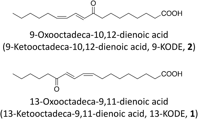 Fig. 4. Chemical structures of 9-oxooctadeca-10,12-dienoic acid and 13- oxooctadeca-9,11-dienoic acid.