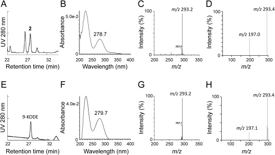 Fig. 3. Comparison of chromatograms in the HPLC analysis (A, E), UV-Vis spectra (B, F), negative ESI MS (C, G), and product ion spectra (D, H) between 2 (A-D) nd 9-KODE (E-H).