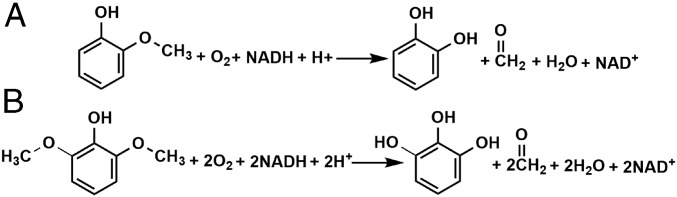 Scheme 1.