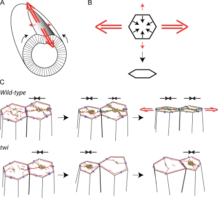 Figure 9.