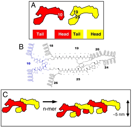 Fig. 6.