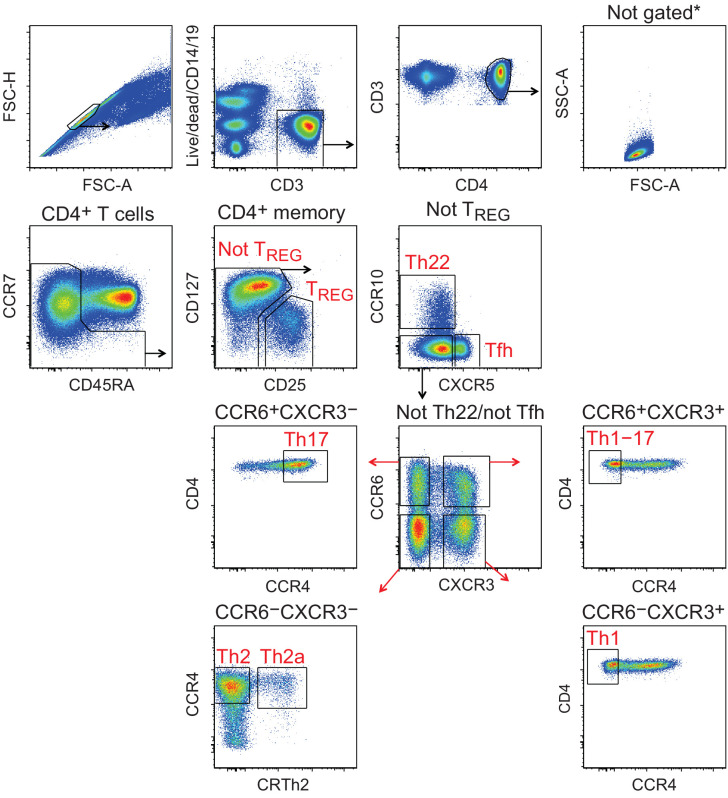 Figure 1—figure supplement 1.