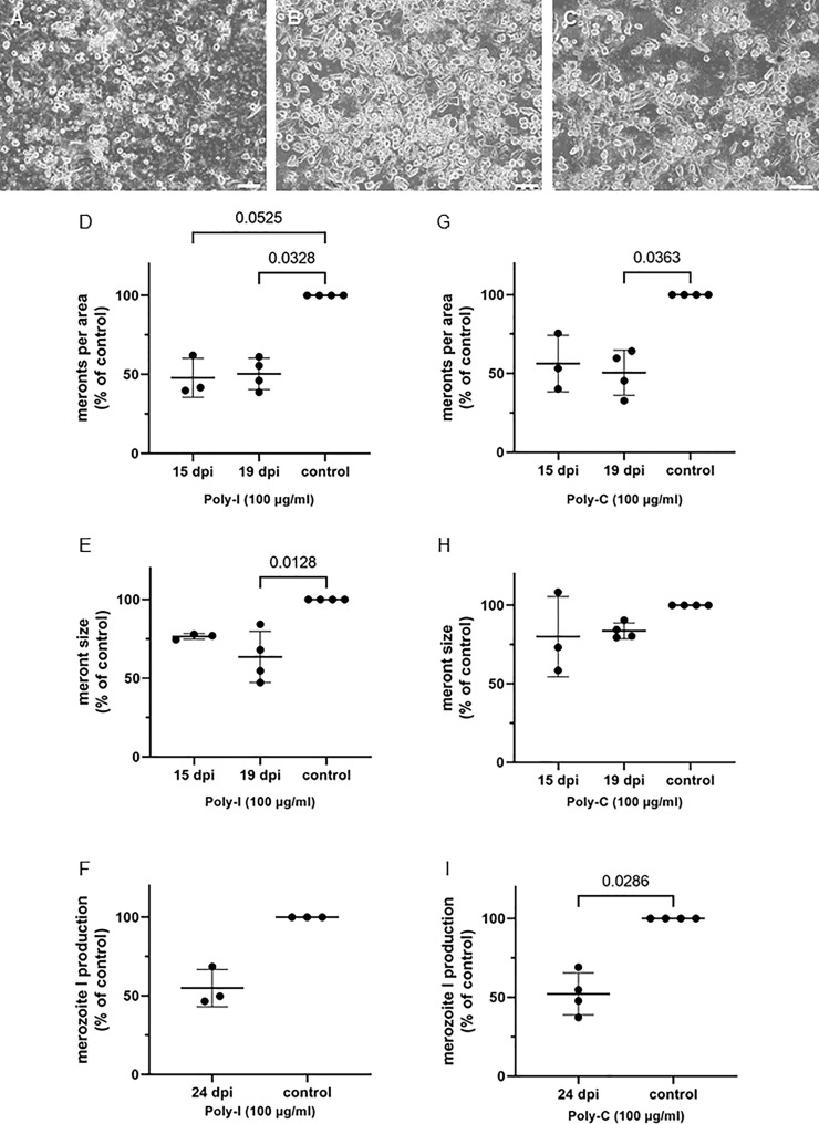 Figure 6