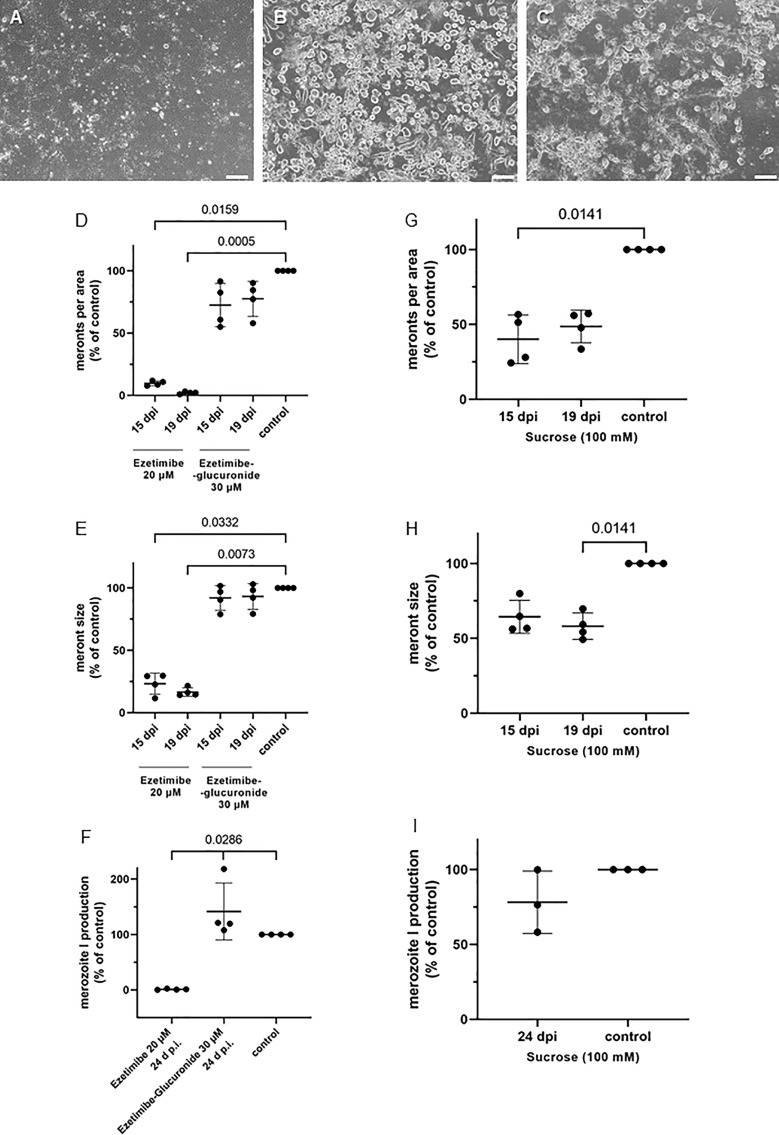 Figure 7