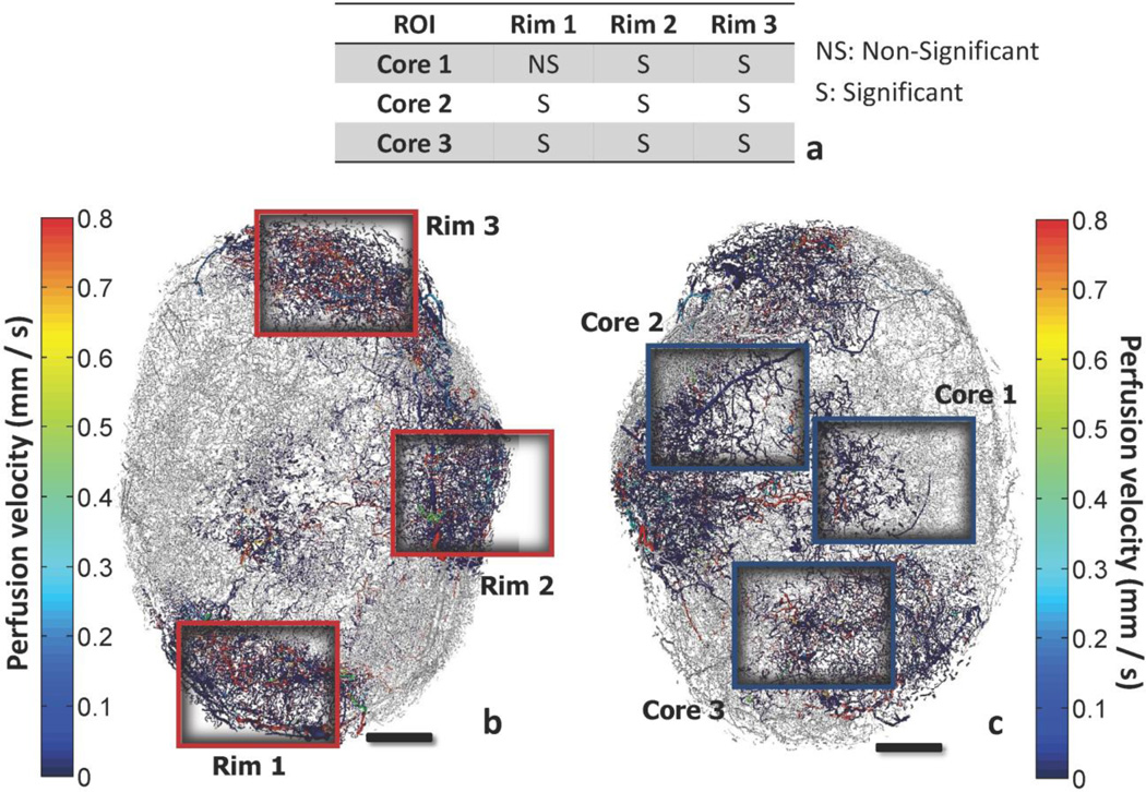 Fig. 12