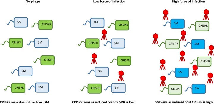 FIG 3