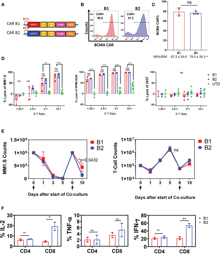 Figure 1