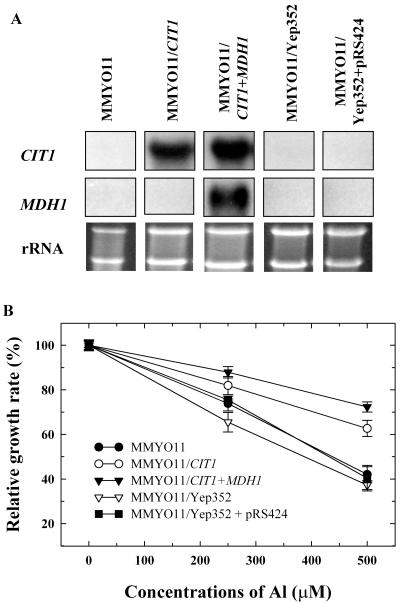 Figure 5.