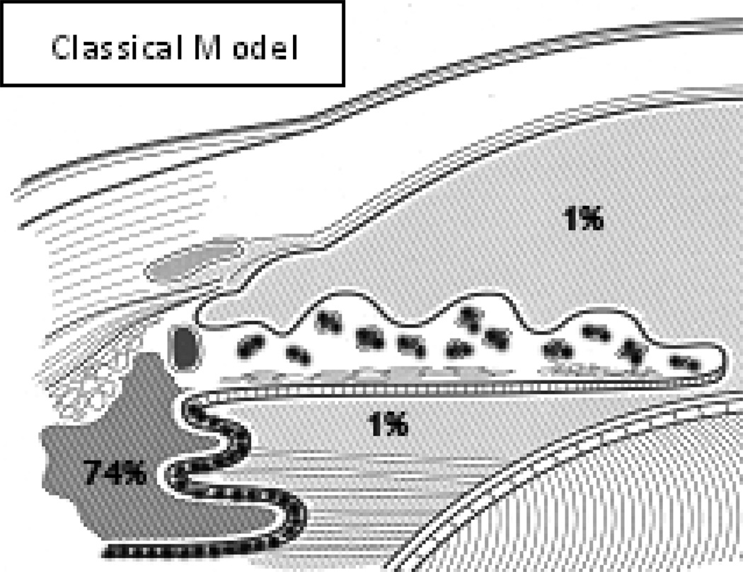 A Contemporary Concept of the Blood-Aqueous Barrier - PMC