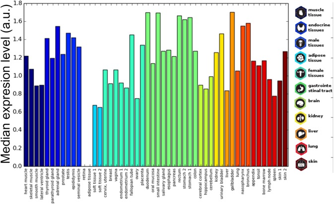 FIGURE 4