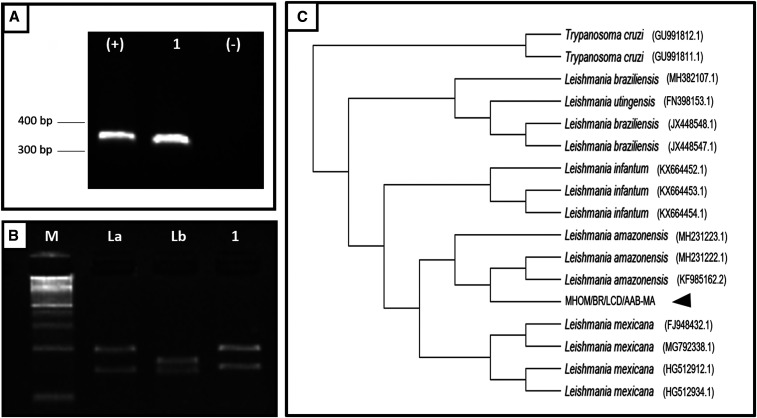 Figure 3.