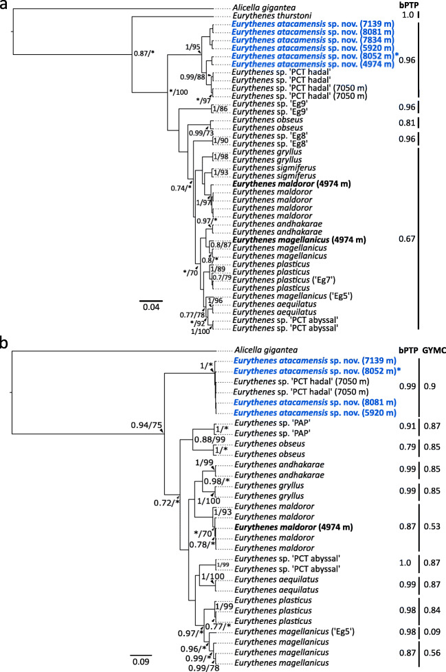 Fig. 7