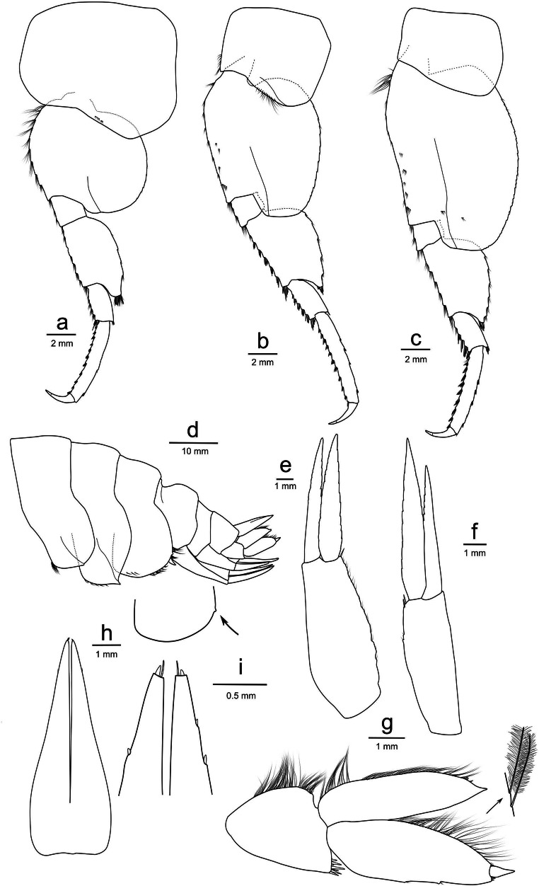 Fig. 5