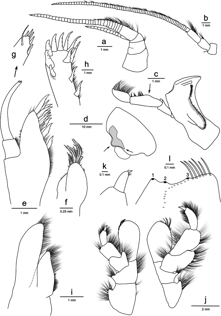 Fig. 3