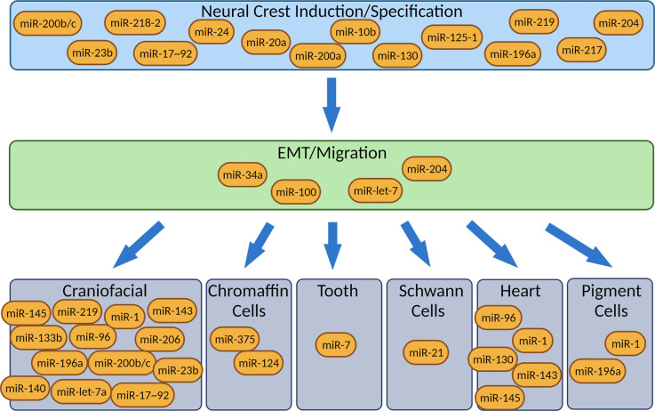 Figure 1.