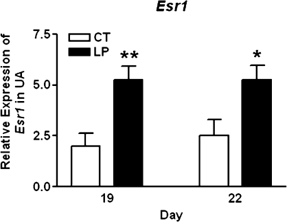 FIG. 6.