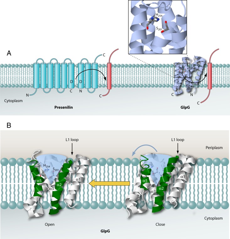 Fig 7