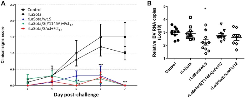 Figure 6