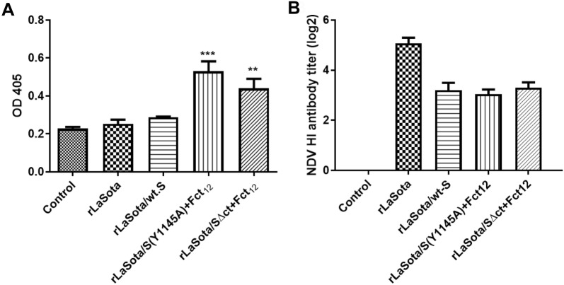 Figure 5