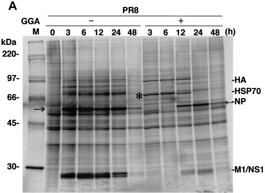 FIG. 4.