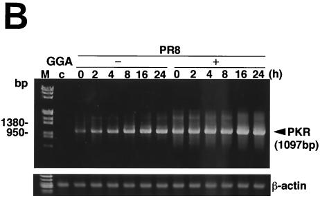 FIG. 5.