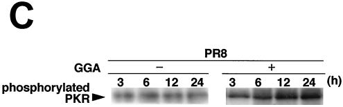 FIG. 5.