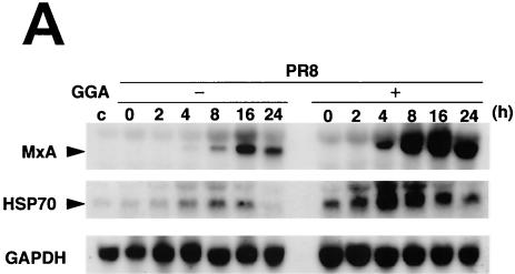 FIG. 5.