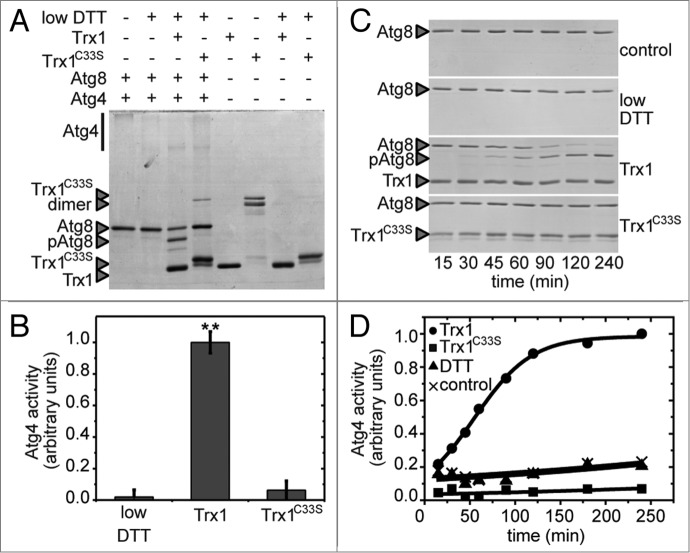 Figure 4.