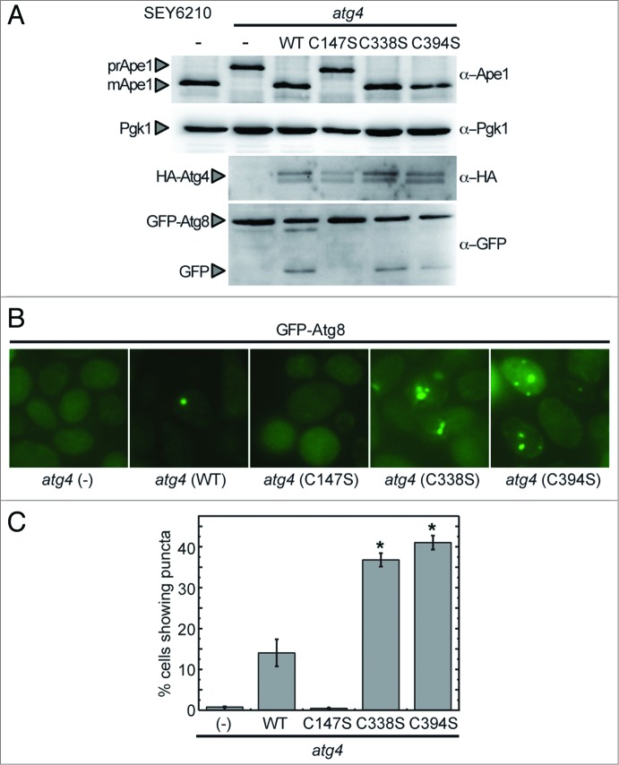 Figure 7.