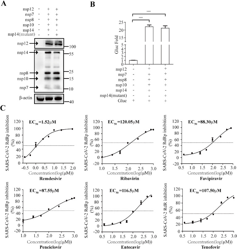 Fig. 6