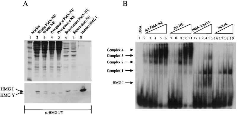 FIG. 5