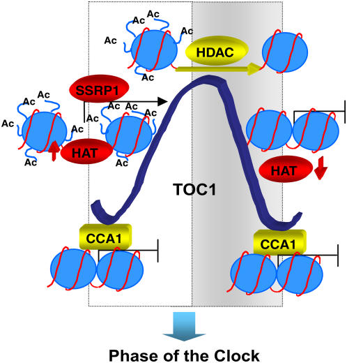 Figure 7.