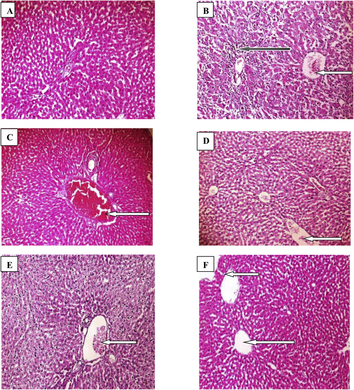 Fig. 6