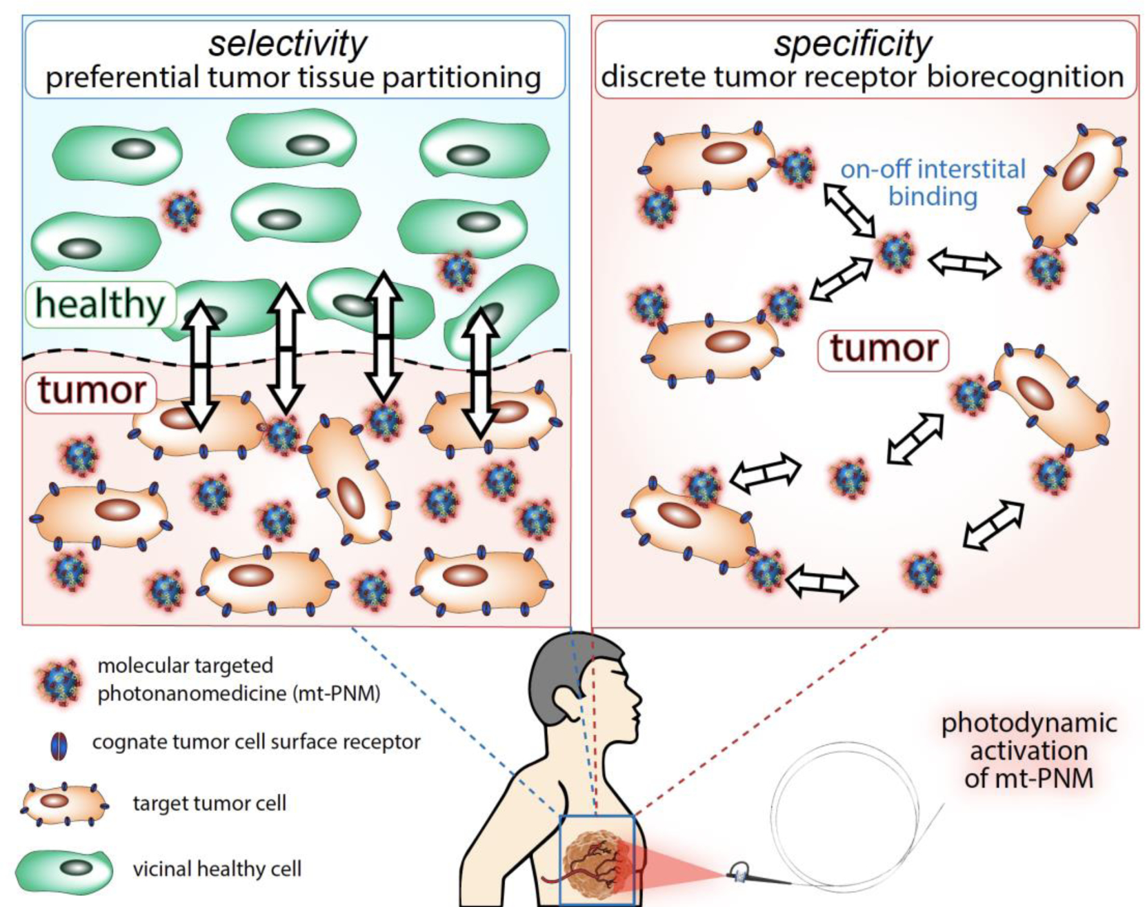 Figure 1: