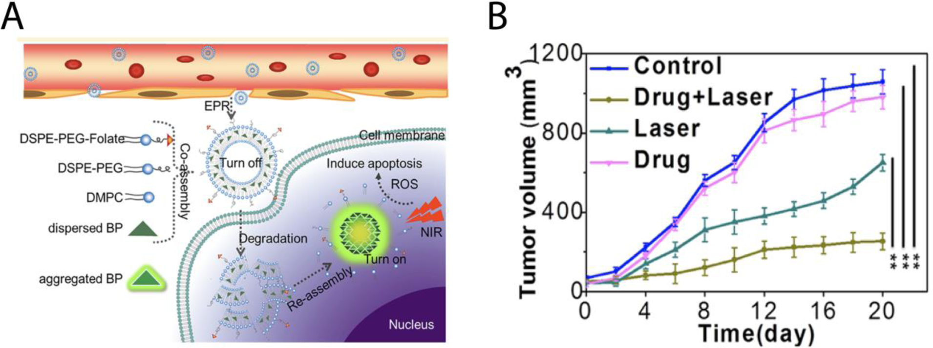 Figure 10: