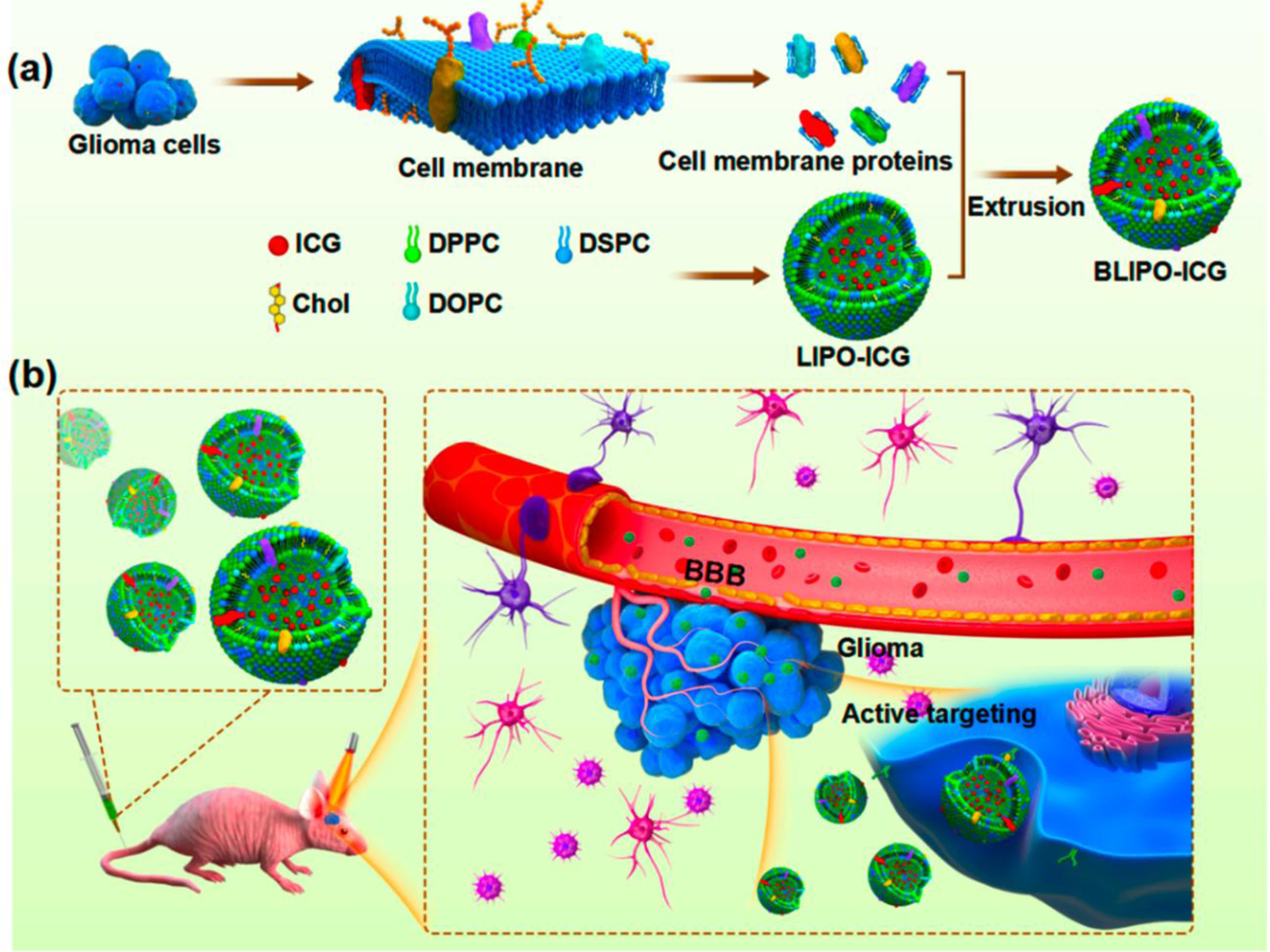 Figure 20: