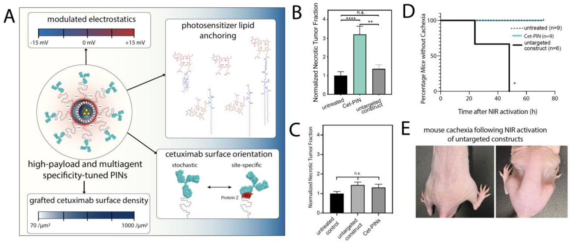 Figure 4: