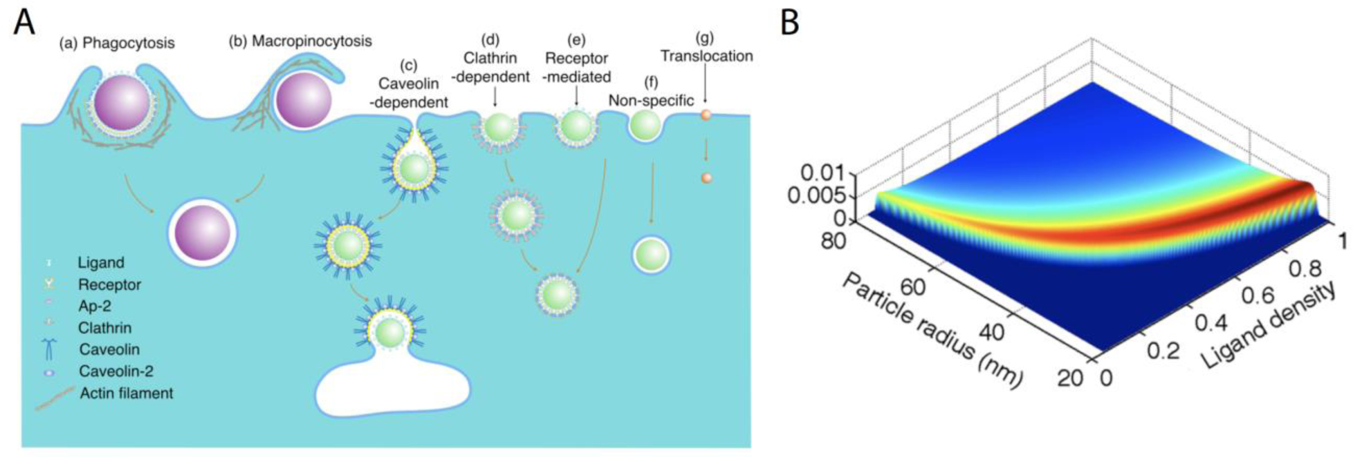 Figure 3: