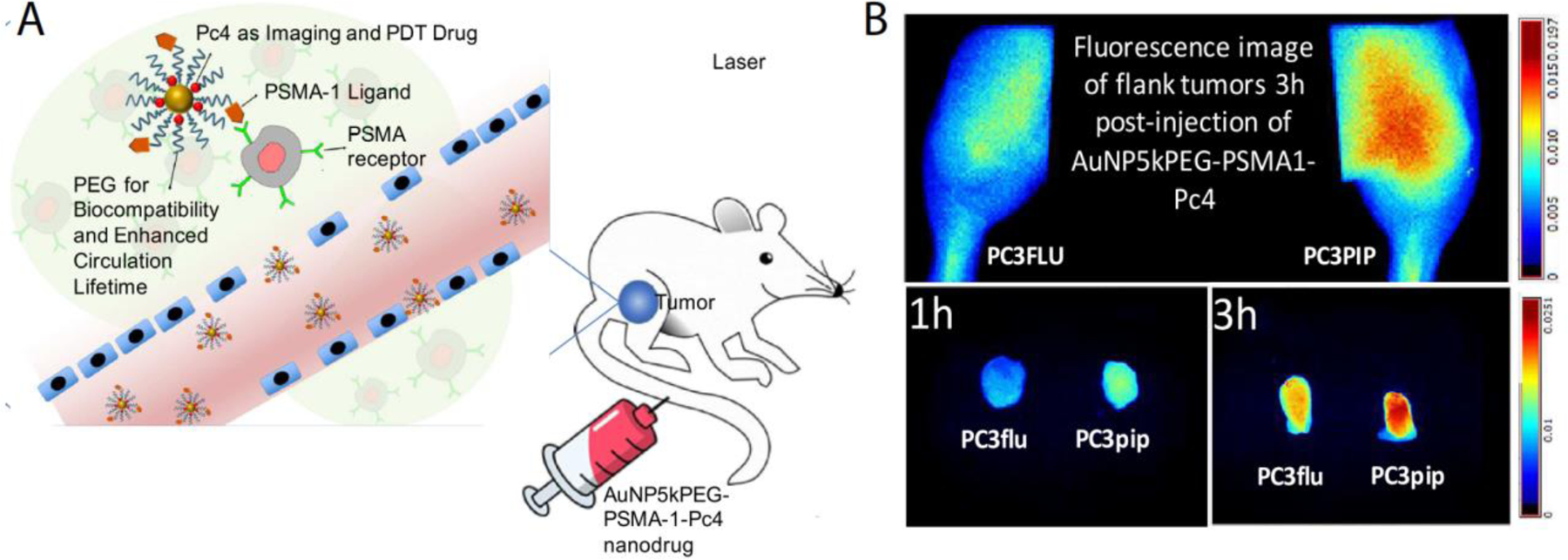 Figure 12: